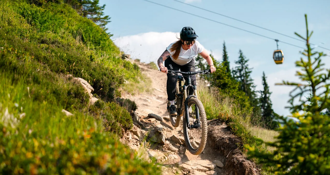 Eine Person fährt mit dem Mountainbike einen Pfad im Sommer.