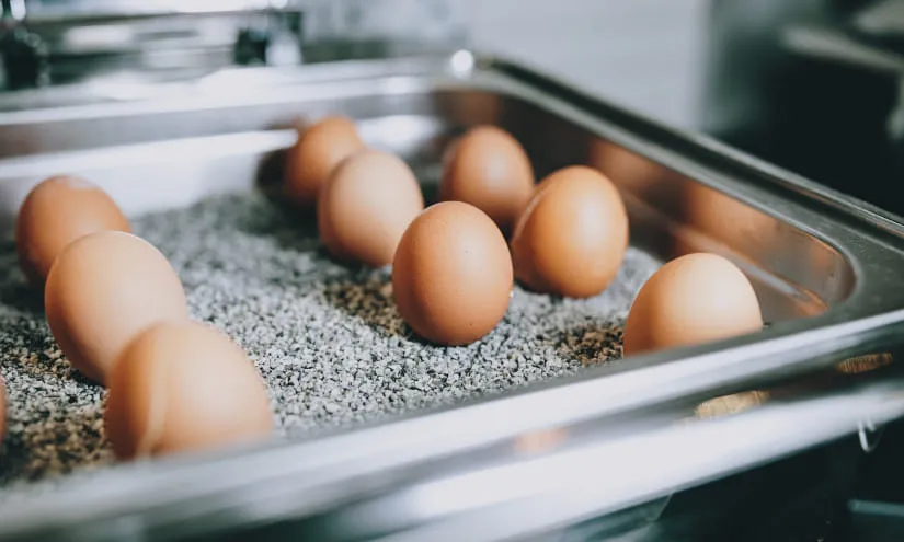 ThomsnCentral-Fruestueck-2025-OBH-30