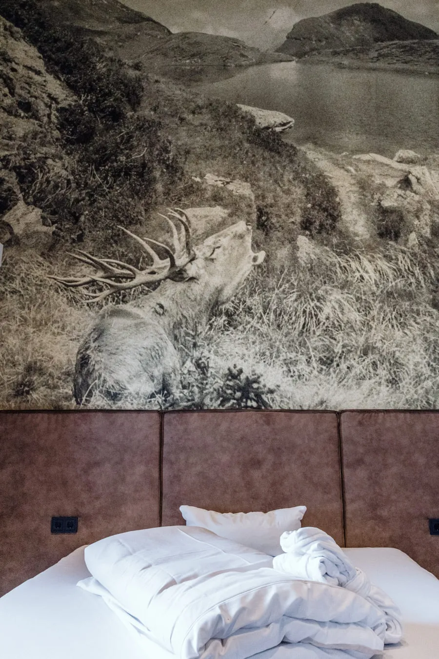 Feldbett vor einer Wand mit einem Hirsch-Motiv und Landschaftsbild.