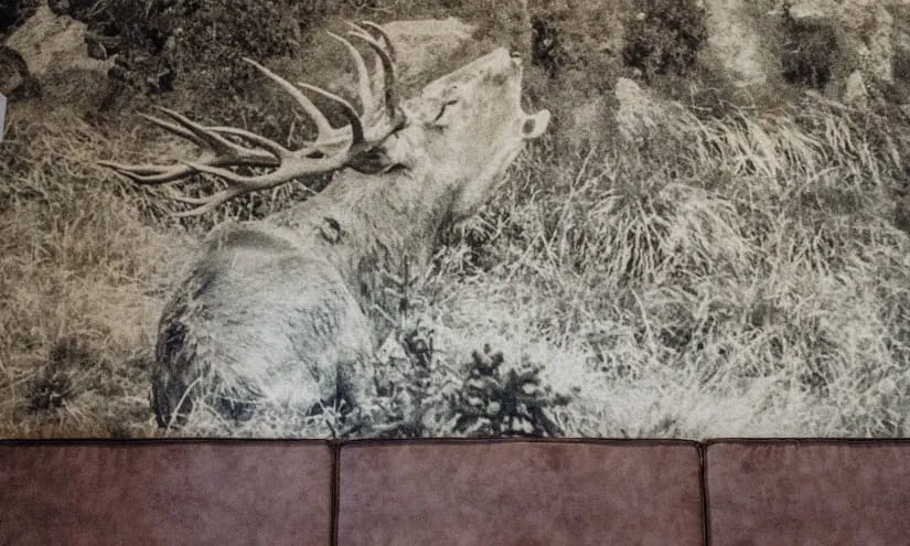 Ein Hirschbild auf einer Wand hinter einem Bett mit Kissen.