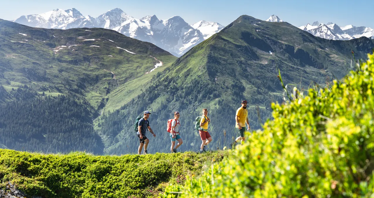 Hikers on a path in the mountains of Saalbach Hinterglemm