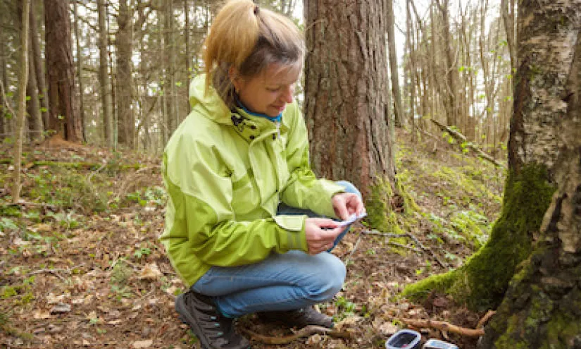 Person in einer grünen Jacke, die im Wald ein Handy benutzt